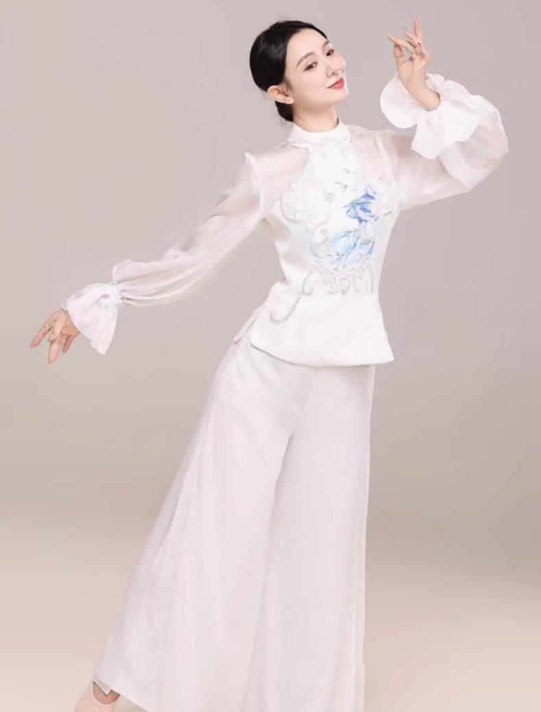 Classical Chinese Dance Costume Jin Chen Same Style National Stage Performance Outfit