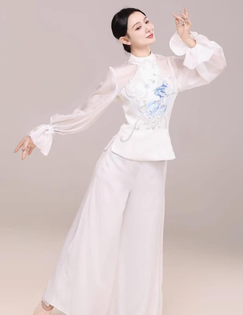 Classical Chinese Dance Costume Jin Chen Same Style National Stage Performance Outfit