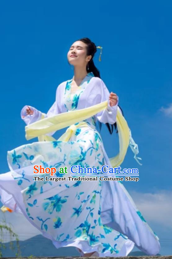 Chinese Song Dynasty Printed Chiffon Duijin Ruqun Traditional Hanfu Dress