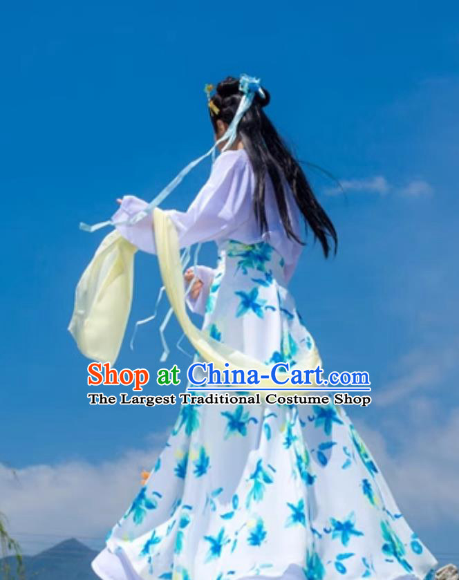 Chinese Song Dynasty Printed Chiffon Duijin Ruqun Traditional Hanfu Dress