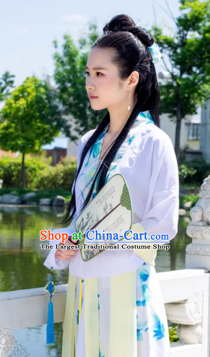 Chinese Song Dynasty Printed Chiffon Duijin Ruqun Traditional Hanfu Dress