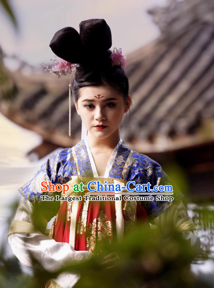 Half Sleeve Chinese Tang Dynasty Qixiong Ruqun Traditional Chinese Hanfu Dress