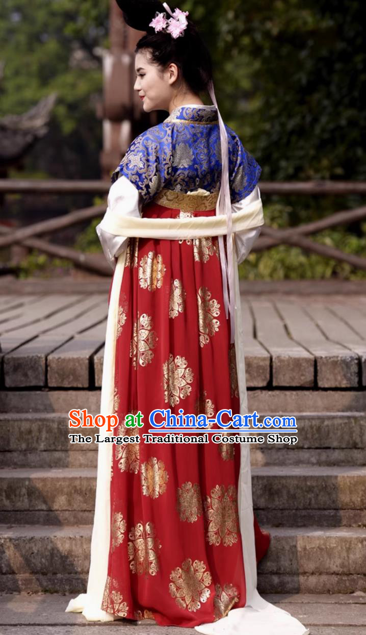 Half Sleeve Chinese Tang Dynasty Qixiong Ruqun Traditional Chinese Hanfu Dress