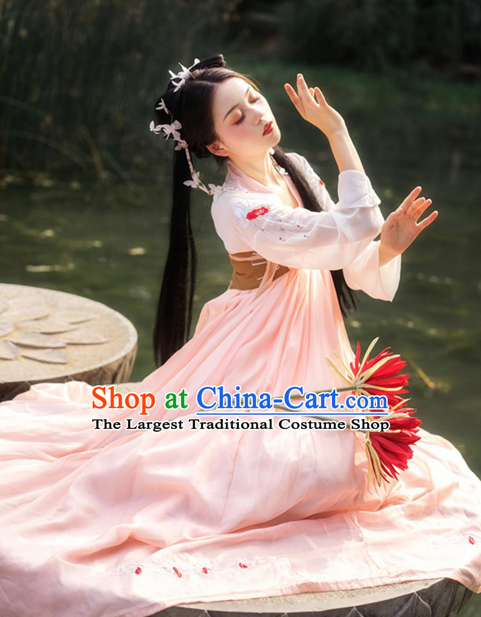 Pink Hanfu Dress Embroidered Qixiong Ruqun Chinese Tang Dynasty Clothing