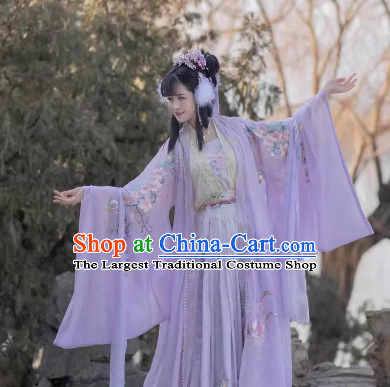 Phoenix Wisteria Embroidered Hanfu Dress Chinese Song Dynasty Ruqun Complete Set