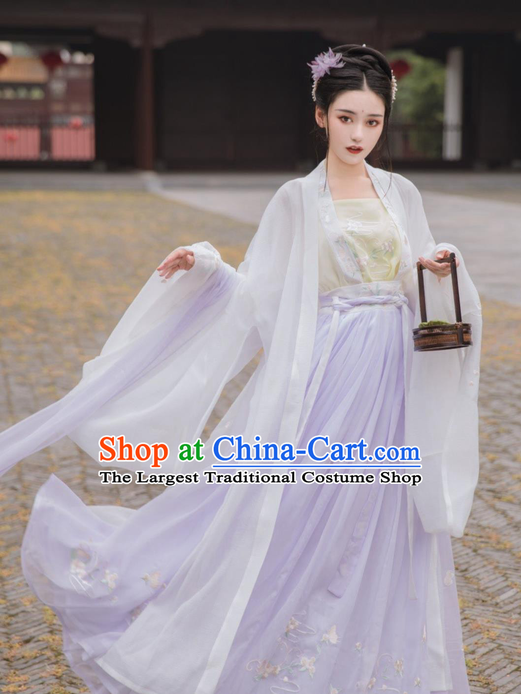Chinese Hanfu Dress Tang Dynasty High Waist Ruqun