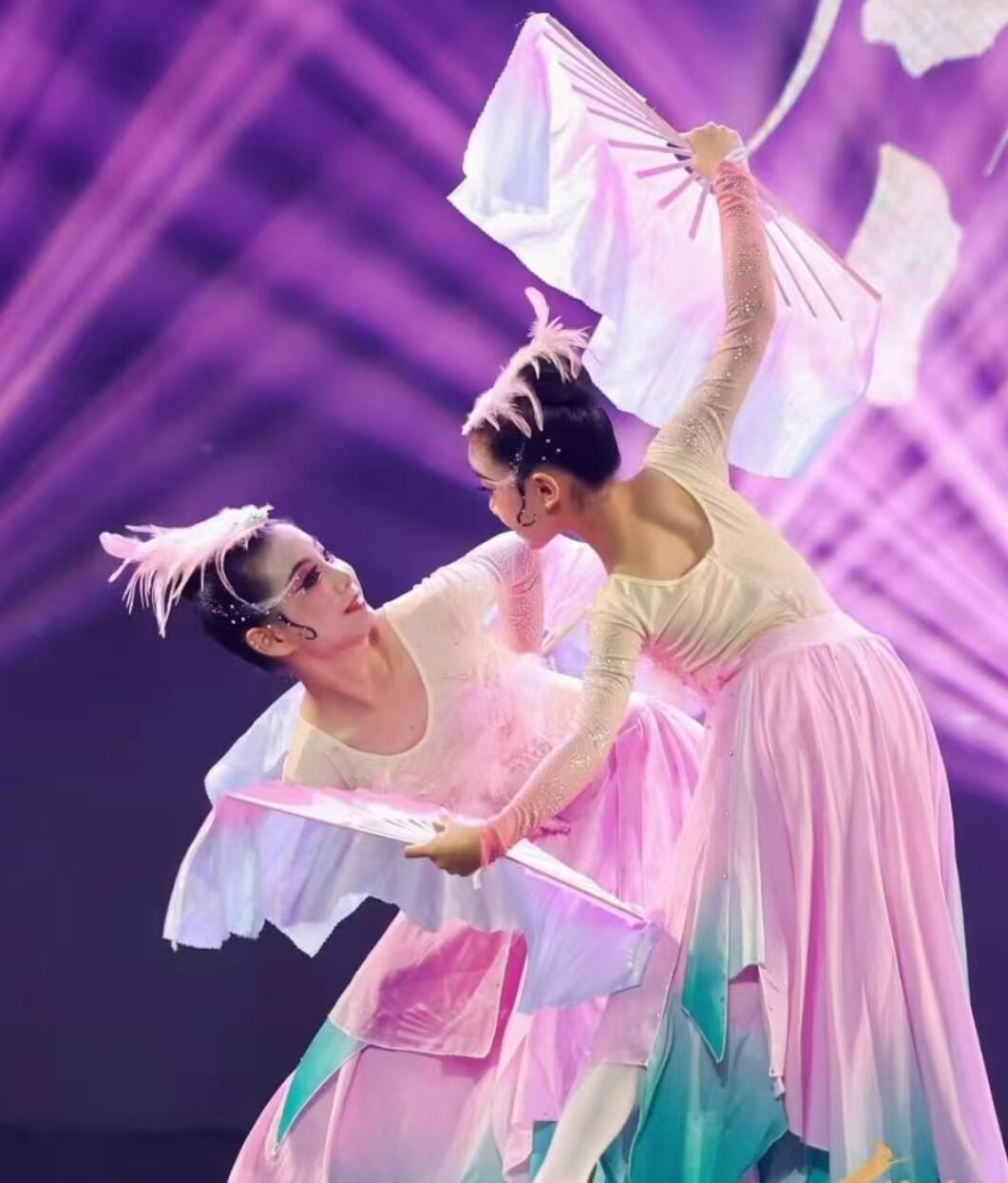 Jiaozhou Dance Costume Forest Bird Tale Classical Dance Yangko Performance Costume Chinese Stage Performance Dress