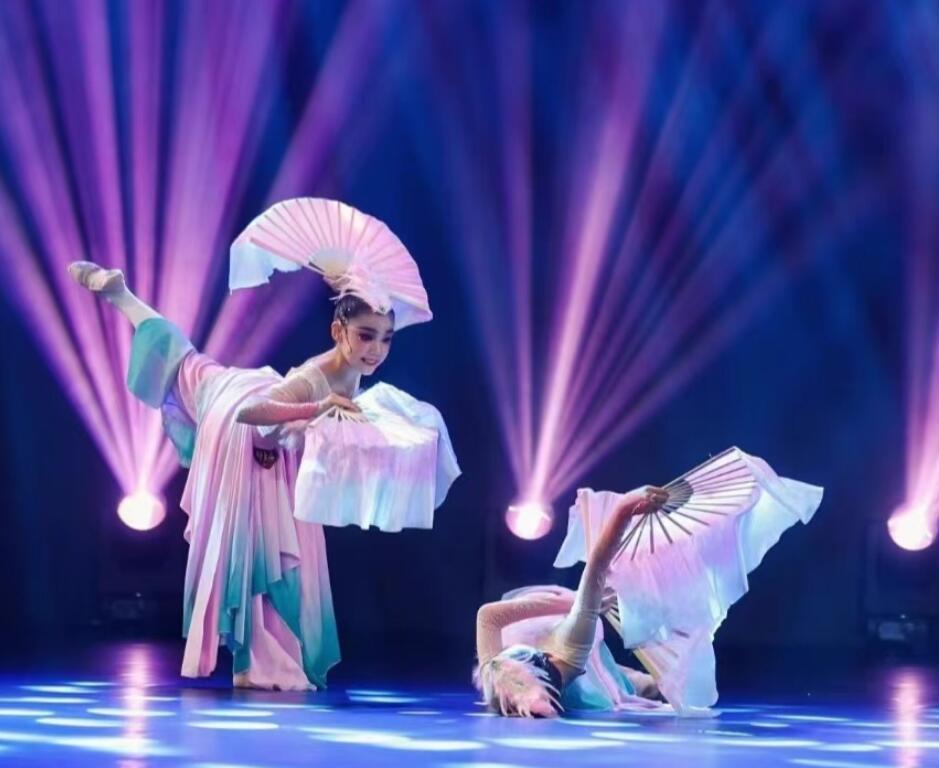 Jiaozhou Dance Costume Forest Bird Tale Classical Dance Yangko Performance Costume Chinese Stage Performance Dress