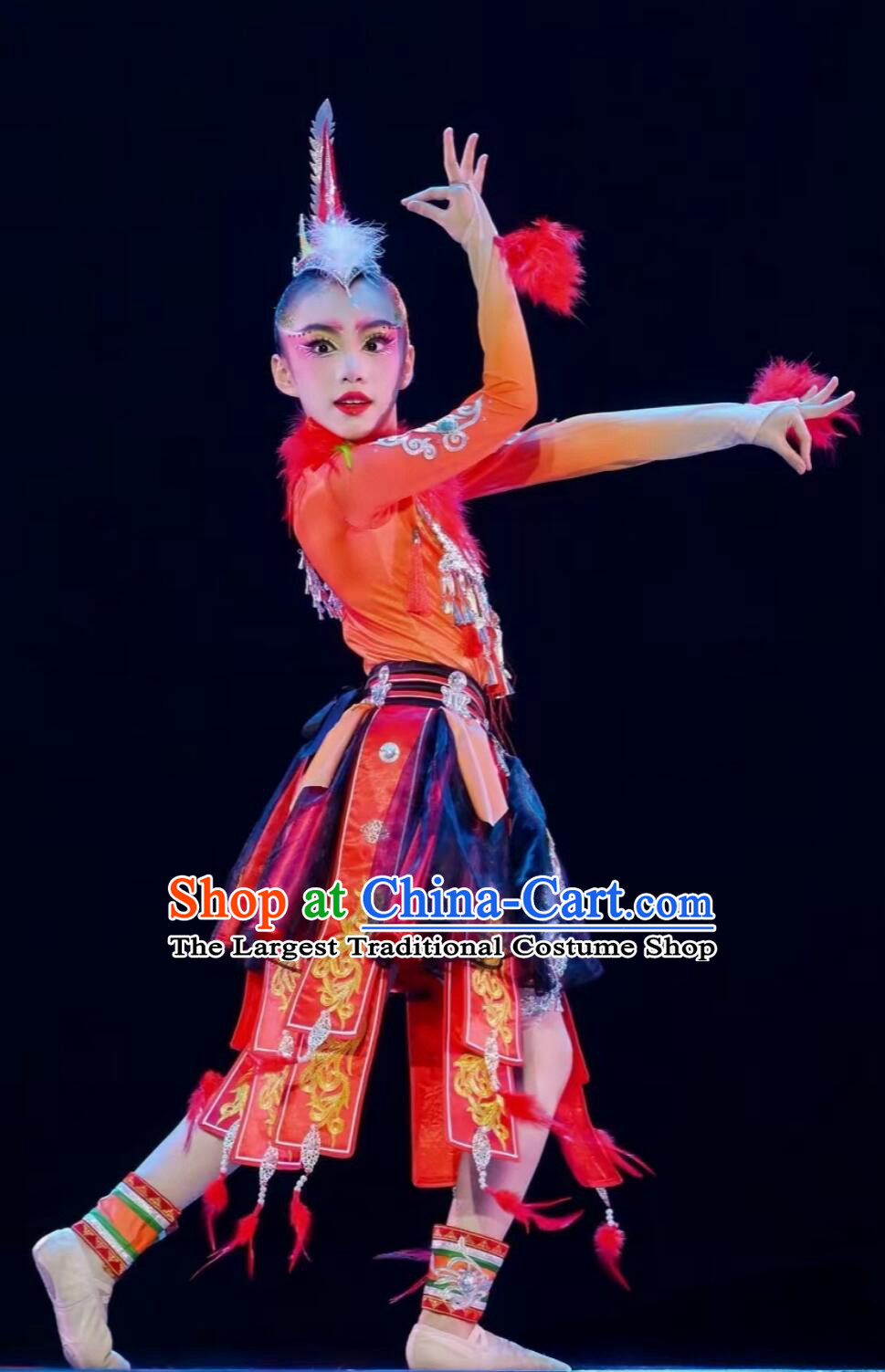 Miao Nationality Dan Feng Zhao Yang Dance Clothing Chinese Ethnic Stage Costume Women Traditional National Performance Dress
