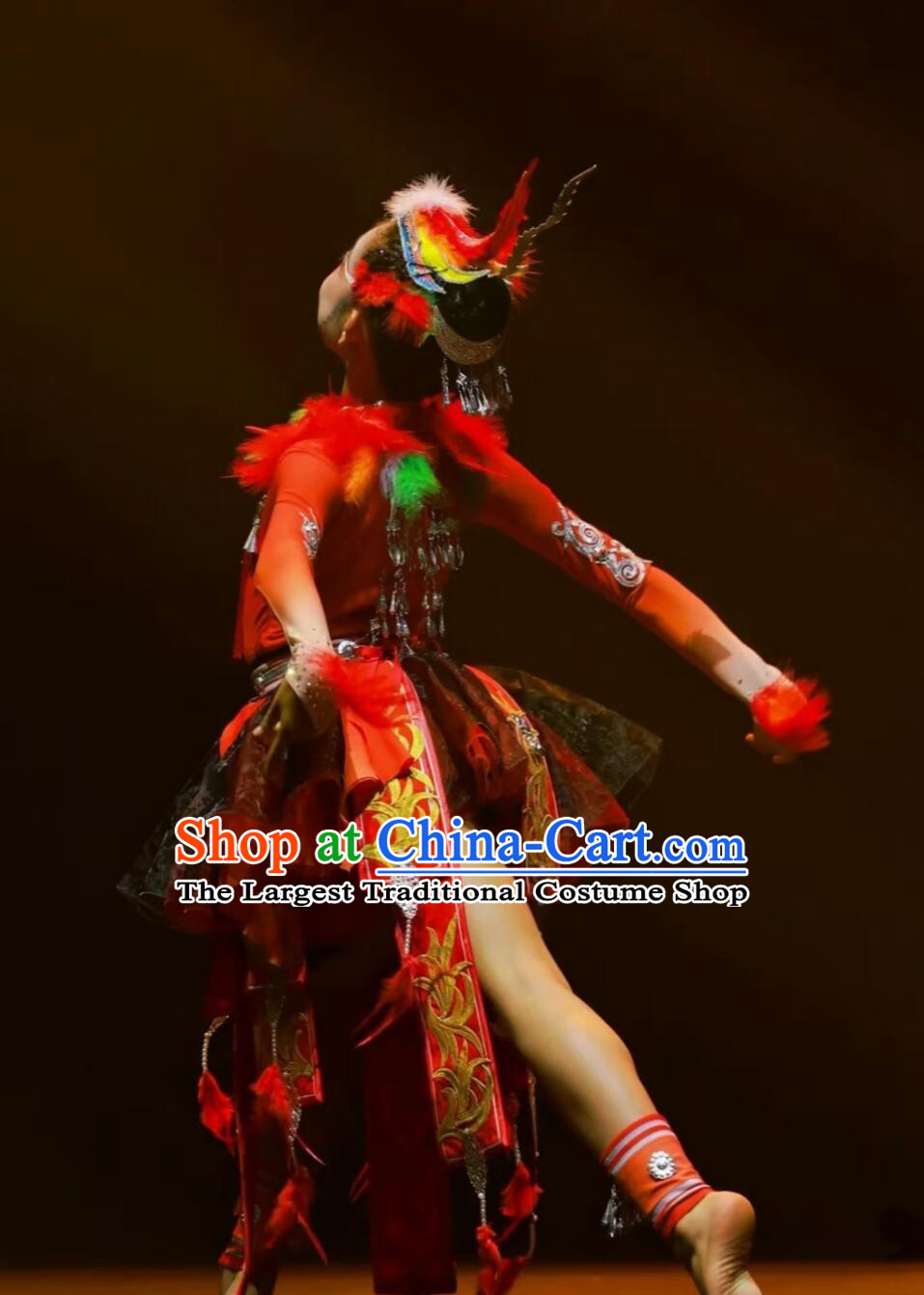 Miao Nationality Dan Feng Zhao Yang Dance Clothing Chinese Ethnic Stage Costume Women Traditional National Performance Dress