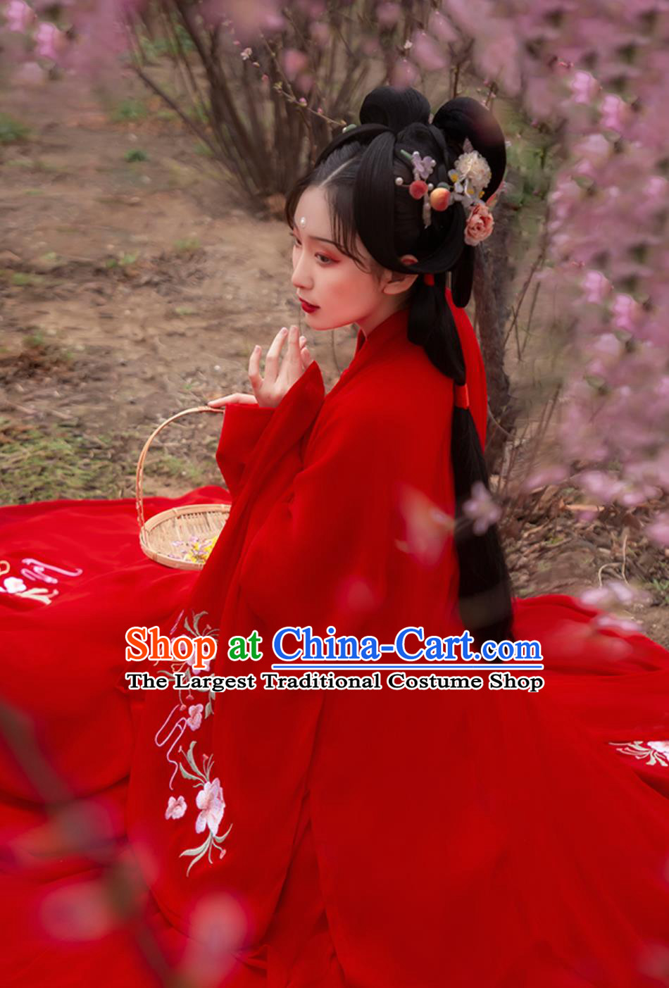 Chinese Traditional Women Red Hanfu Ancient Princess Wedding Dress Wide Sleeves Cape Blouse and Skirt Complete Set