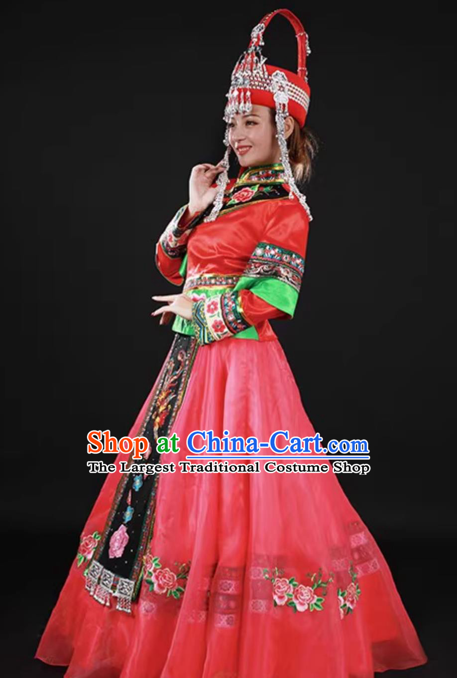 She Minority Group Women Traditional Costume Catwalk Chinese Ethnic Dance Performance Long Dress