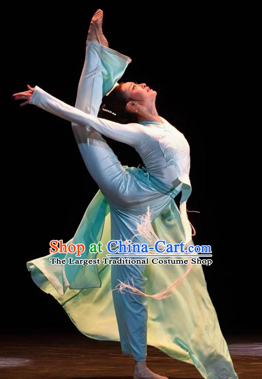 Classical Dance Costume Women Tao Li Cup Heavenly Palace Glimpse Dance Attire Chinese Han Tang Dance Performance Clothing