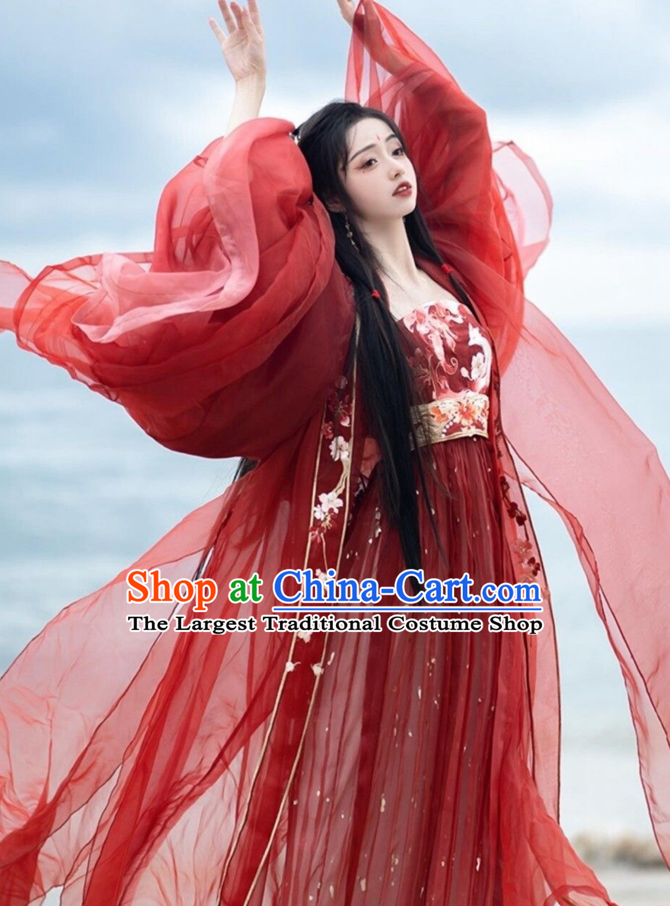 Tang Dynasty Embroidered Hanfu Women Wide Sleeve Blouse Hezi Skirt Red Outfit Traditional Chinese Clothing