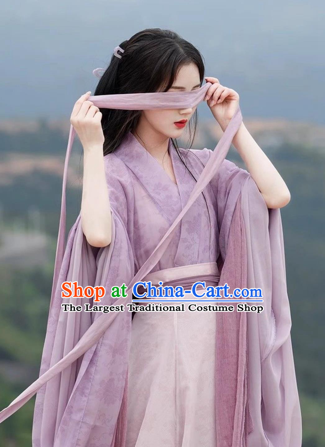 Wei Jin Women Hanfu Wide Sleeve Chinese Style Eight Panel Skirt Traditional Costume