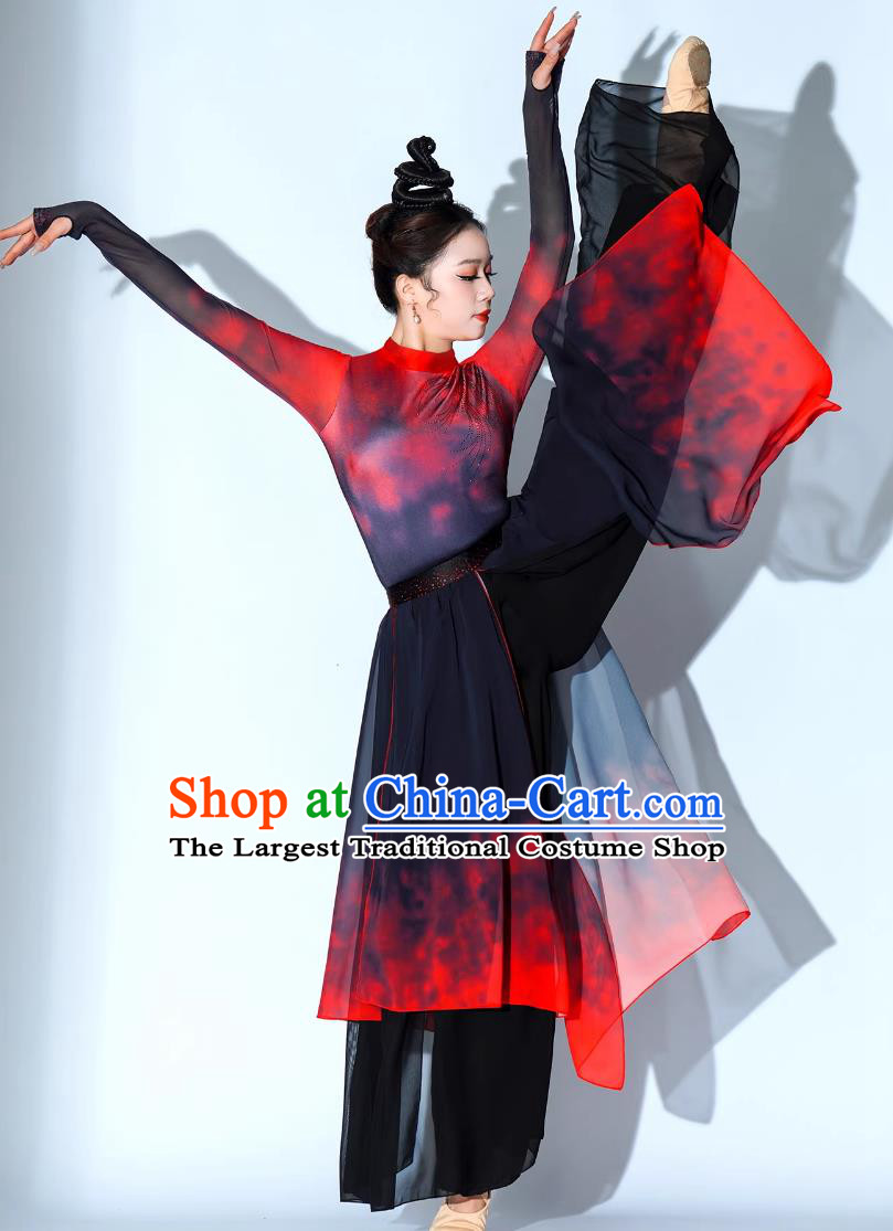 Xiang Wang Xing Dance Costume Chinese Classical Dance Fan Dance Clothing Jazz Dance Outfit