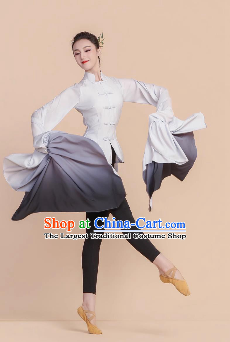 Classical Dance Performance Wear Professional Opera Water Sleeves Chinese Dance Practice Costume
