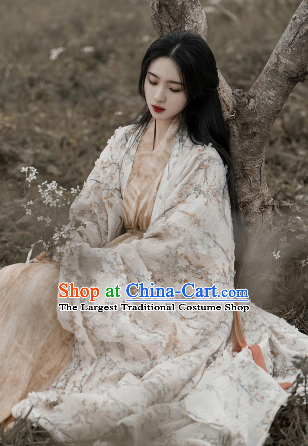 Chinese Hanfu Dress Embroidered Wide Sleeve Long Gown Traditional Straight Hem Robe