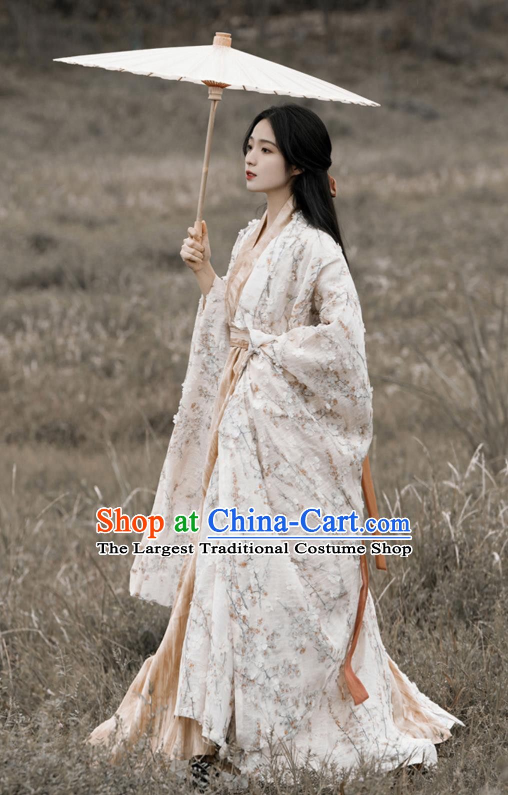 Chinese Hanfu Dress Embroidered Wide Sleeve Long Gown Traditional Straight Hem Robe