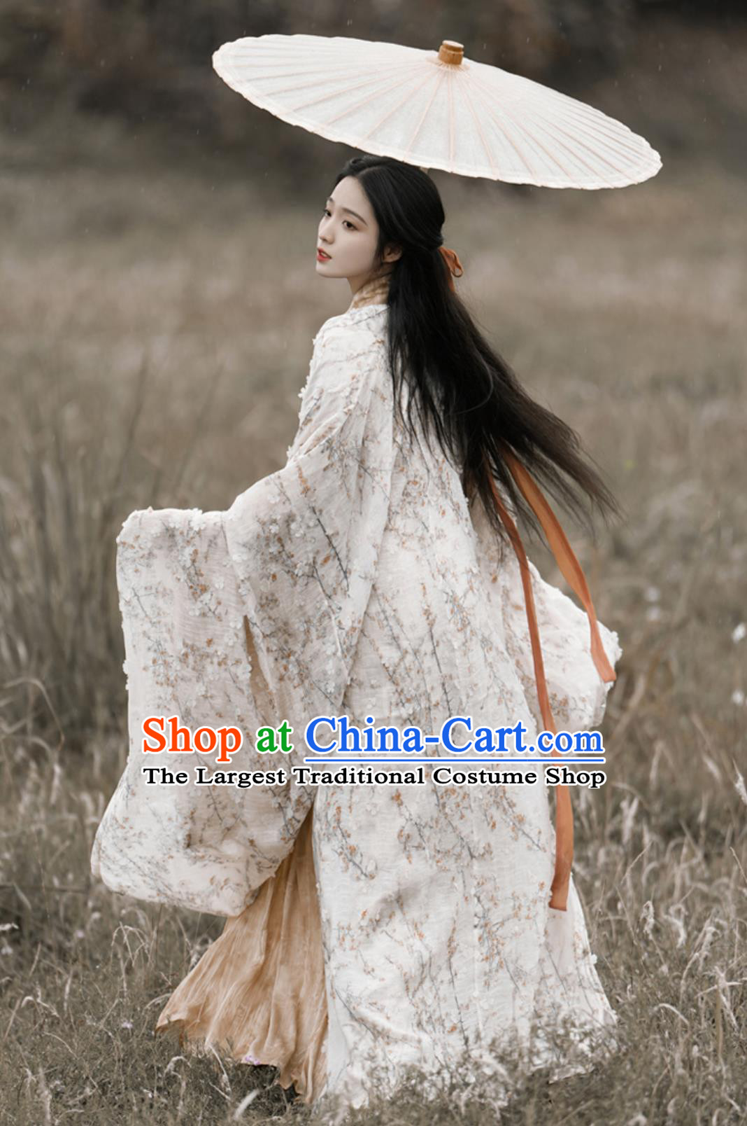 Chinese Hanfu Dress Embroidered Wide Sleeve Long Gown Traditional Straight Hem Robe