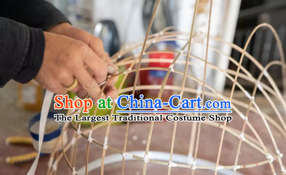 Lion Dragon Dance Costumes