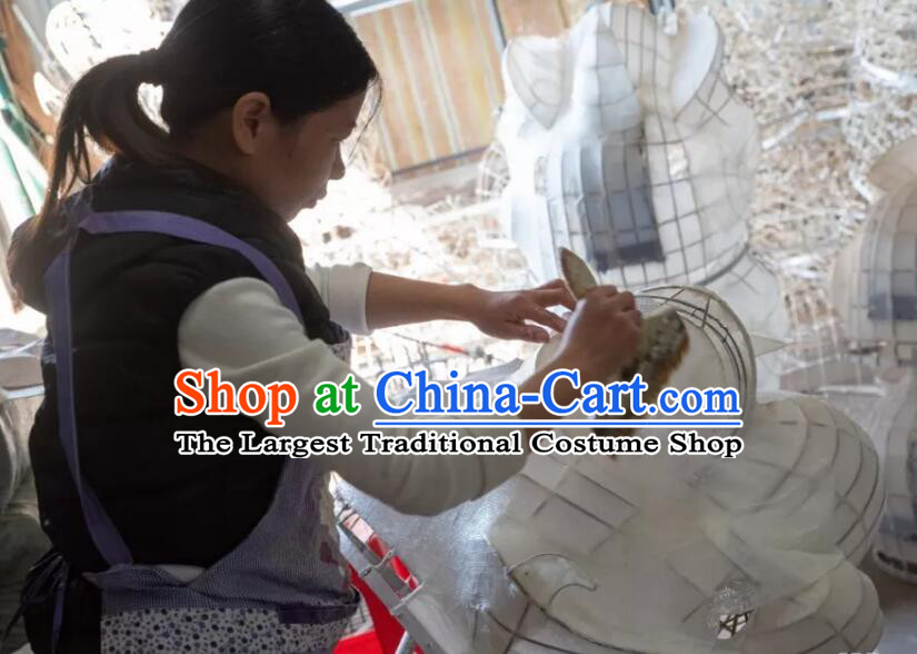 Lion Dragon Dance Costumes